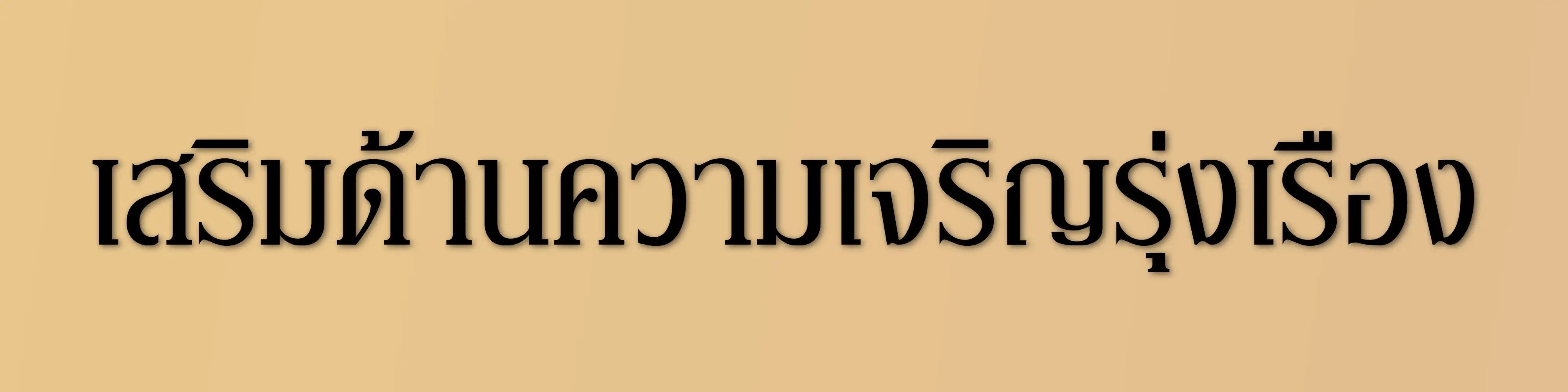 ตัวอย่างภาพ