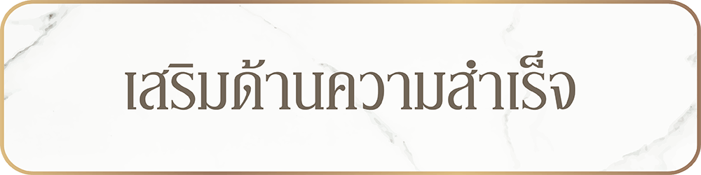 ตัวอย่างภาพ