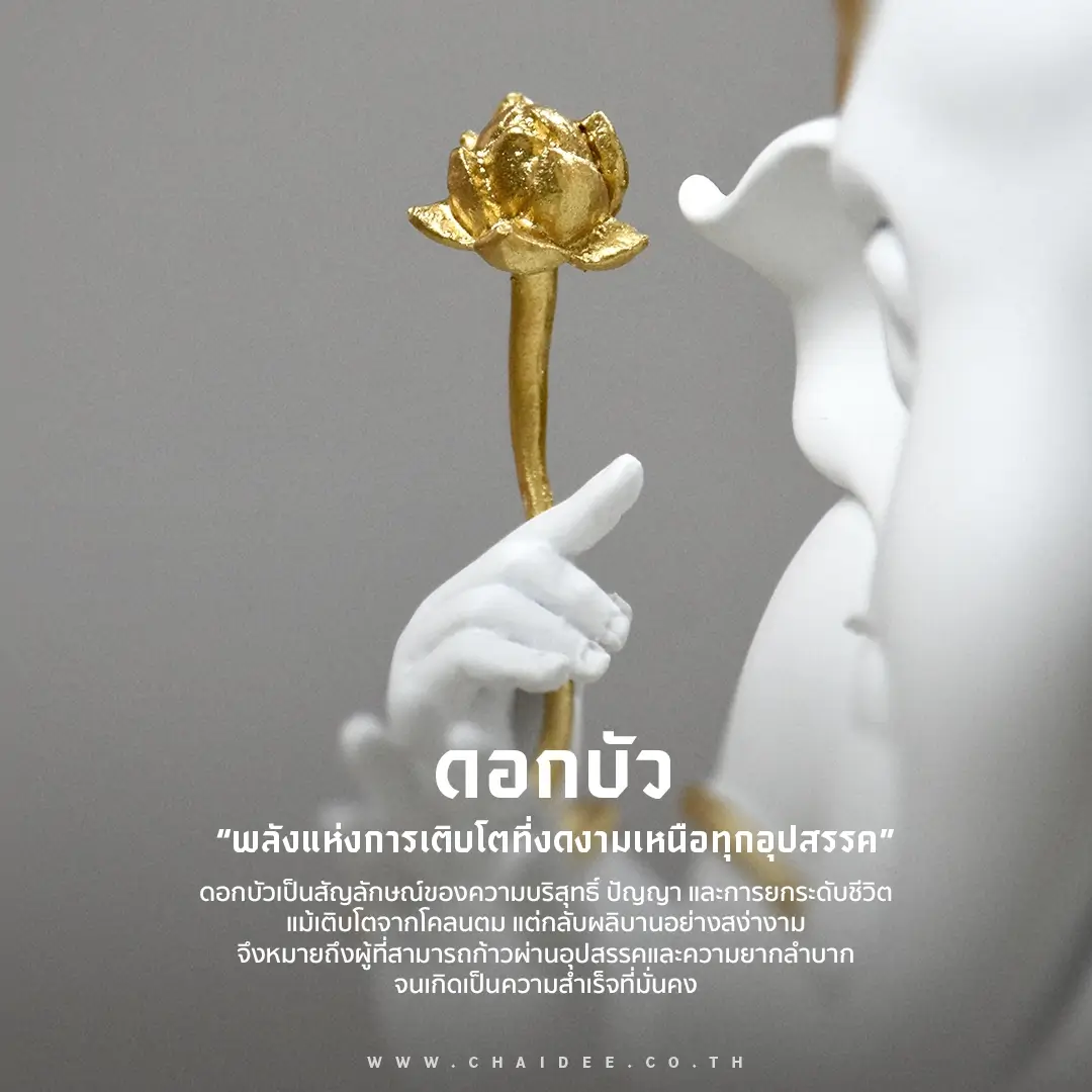 ตัวอย่างภาพ