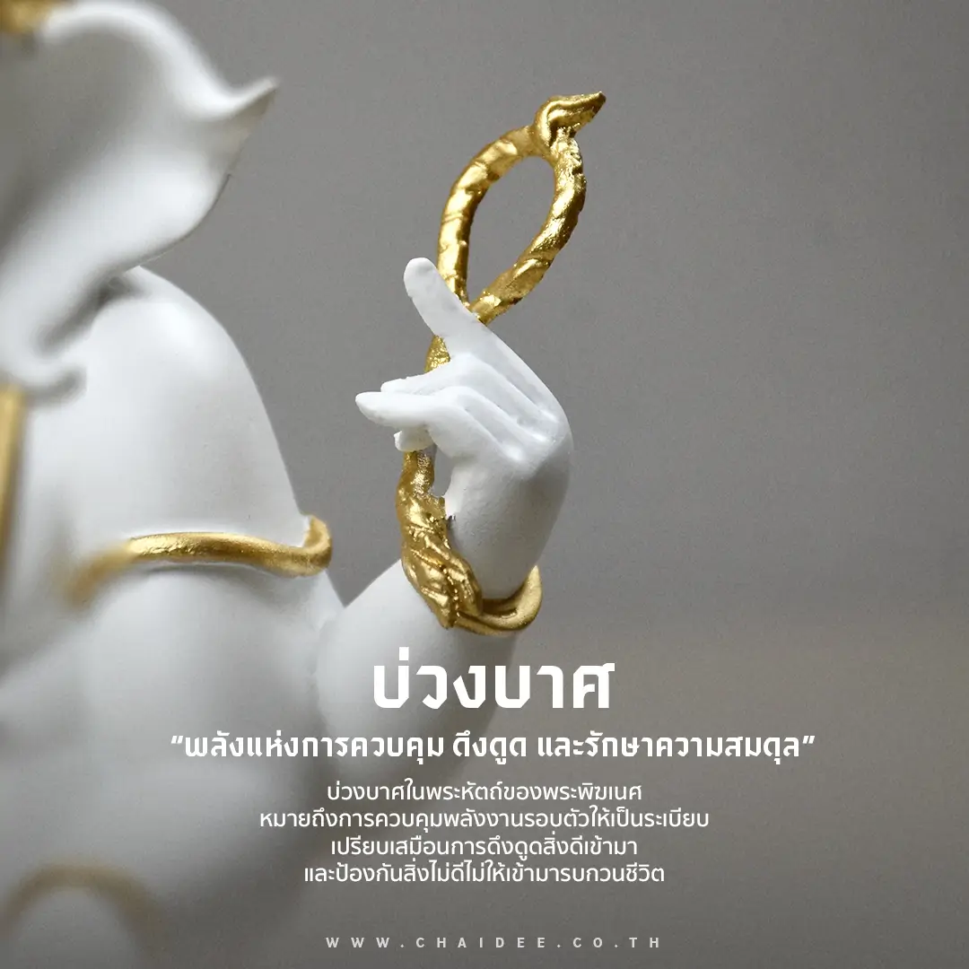 ตัวอย่างภาพ