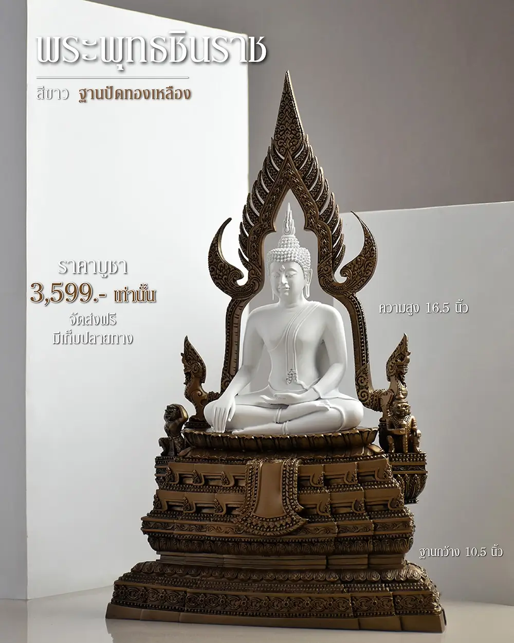 ตัวอย่างภาพ