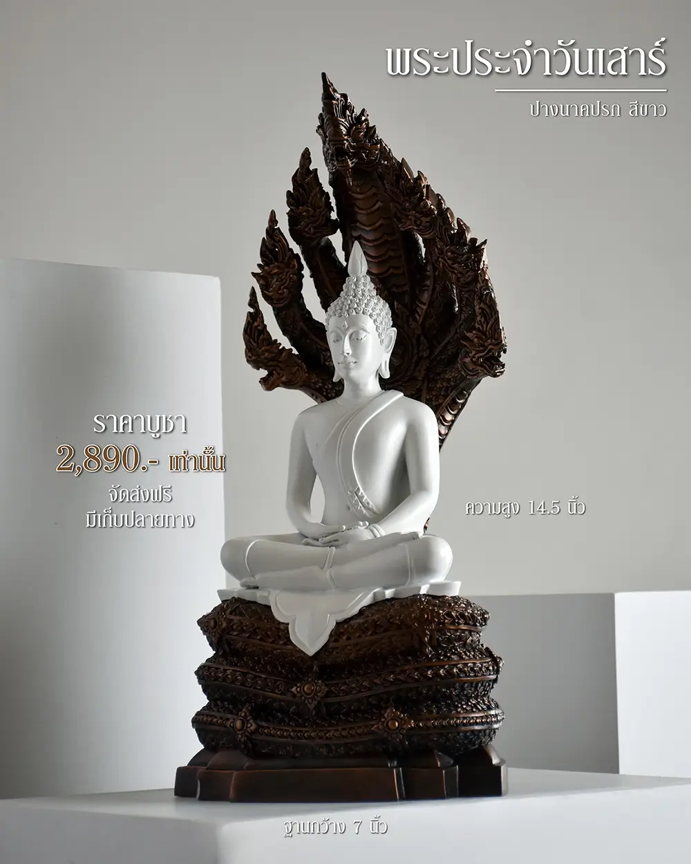 ตัวอย่างภาพ